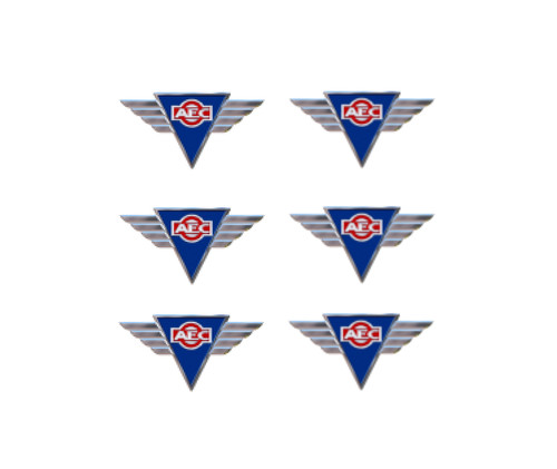 Aec winged badge - badge, 1/76