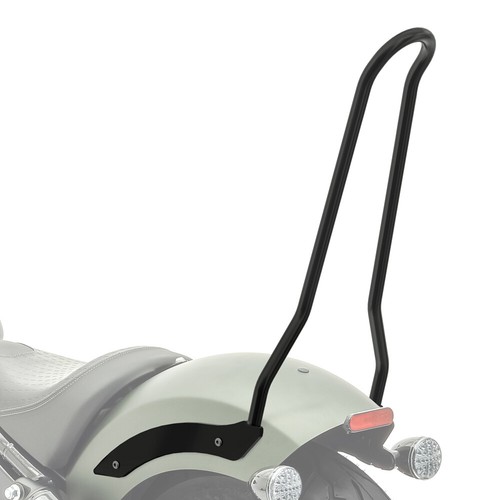 Sissybar for motorcycle - motorcycle,