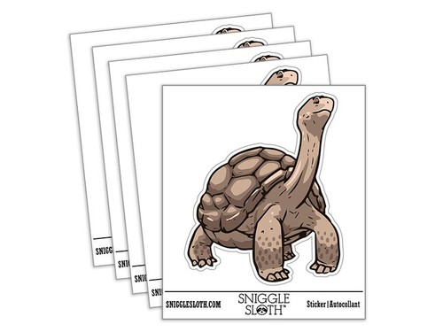 Giant galapagos aldabra - giant,