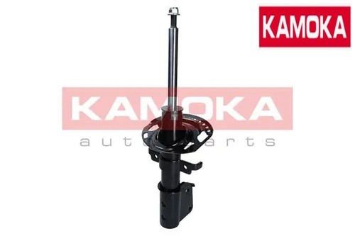 Front shock absorber - front,