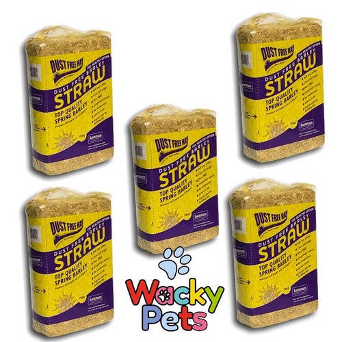 Lunnun barley straw dust - straw,