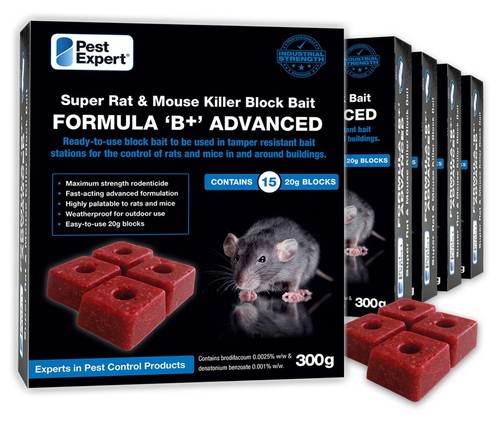 Rat poison mouse killer - mouse, pest