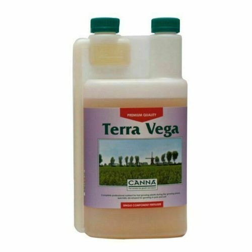 Canna terra vega - canna,