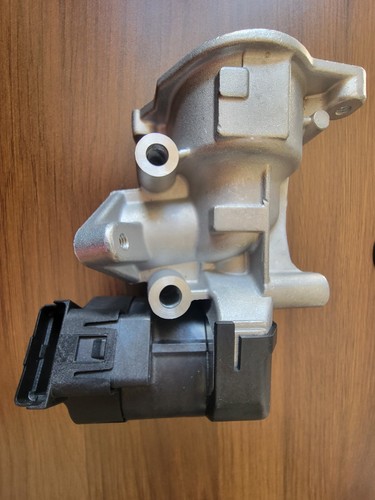 Egr valve for - valve,