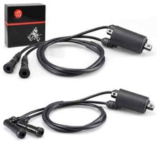 2 Pcs Ignition Coil & Caps for