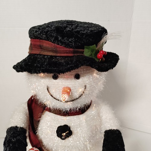 Fiber optic snowman - fiber,