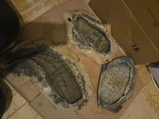 Rubber Latex Mould For 3 Peice Crocodile Set