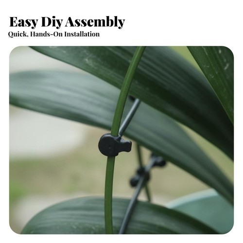 Clivia foliage alignment tool - foliage,