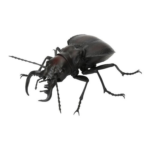 Bandai gashapon stag beetle - bandai, 12