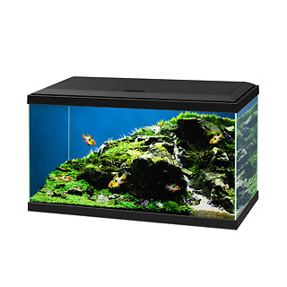 Ciano aqua led - aqua, 58