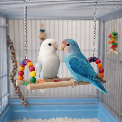 Bite resistant parrot swing - bite,