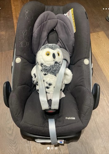 Maxi cosi pebble and familyfix - pebble,