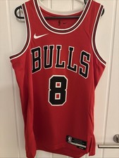 Chicago Bulls Zach Lavine