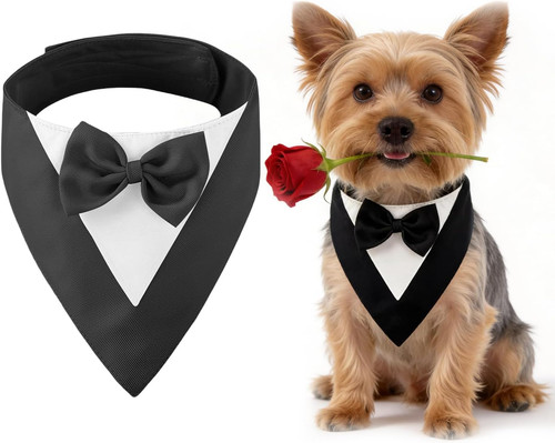 Dog tuxedo bandana with bow - dog,
