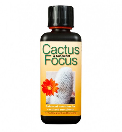 Growth technology cactus and - growth,
