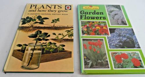 Vintage ladybird nature - nature, &