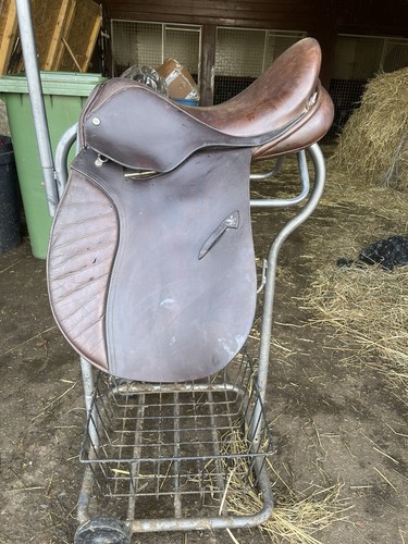 Reduced jefferies falcon adler - falcon,