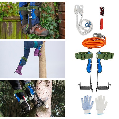 Tree climbing spike - tree, pole