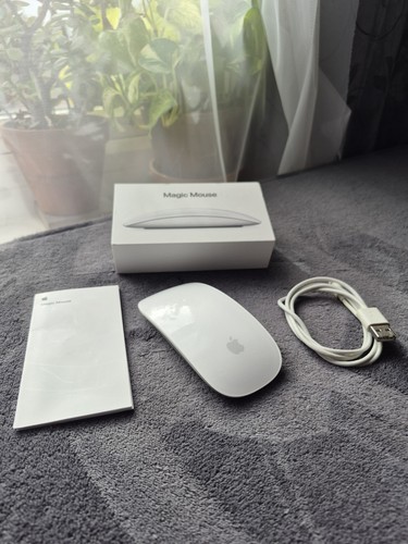Apple magic mouse - magic,