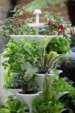 Acqua Garden - Hydroponic