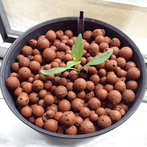 Leca expanded clay balls - clay, 1l