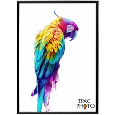 A2 A3 A4 Black Thin Picture