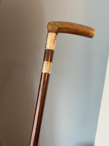 Rams horn crook walking stick - horn,