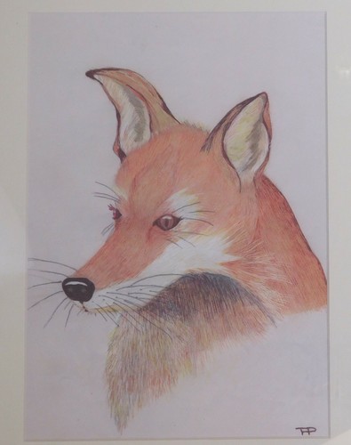 Picture fox by annee - a,
