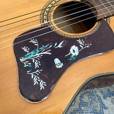 1x Acoustic guitar deluxe 2mm