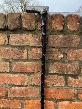 Good Irish Blackthorn Walking