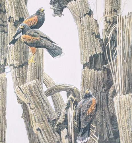 Robert bateman harris - robert,