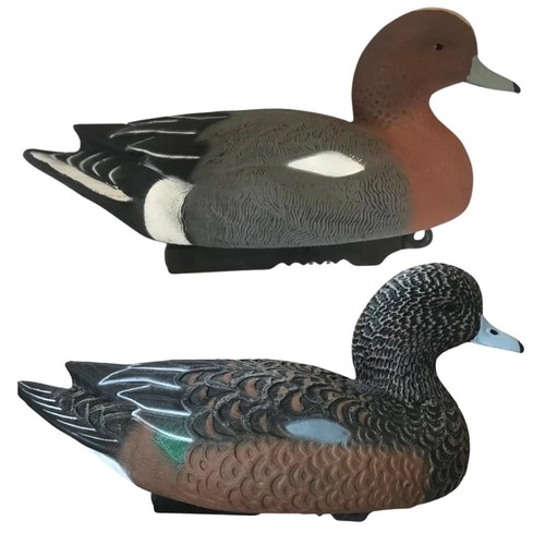 Wigeon duck decoy floating - duck,