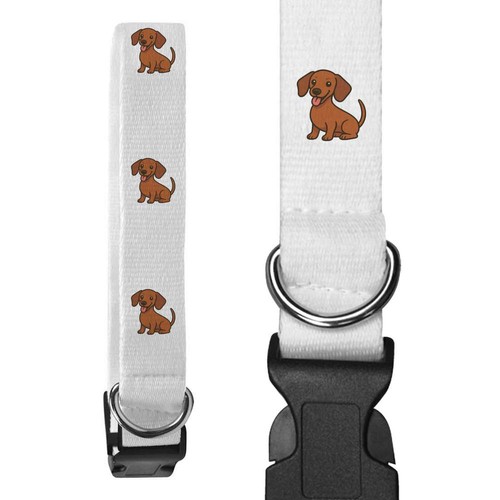 Miniature dachshund dog - dog',