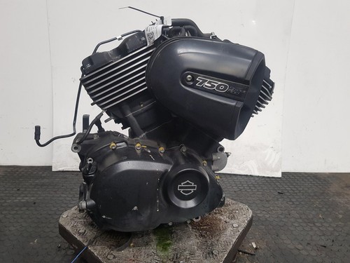 Harley davidson street rod - harley,