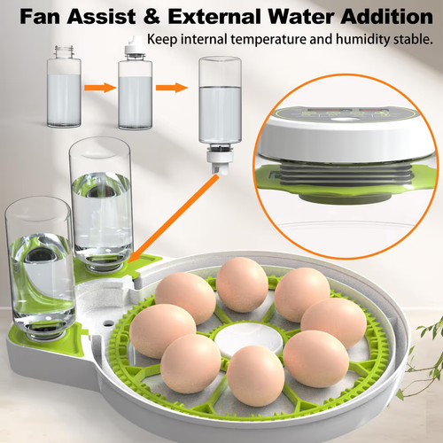 Egg incubator with temperature - egg,