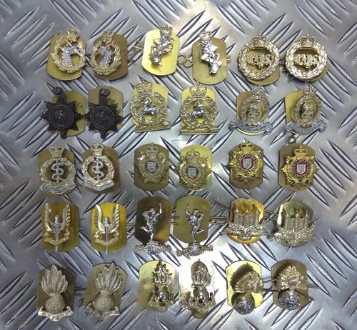 Collar dogs and - collar, badges