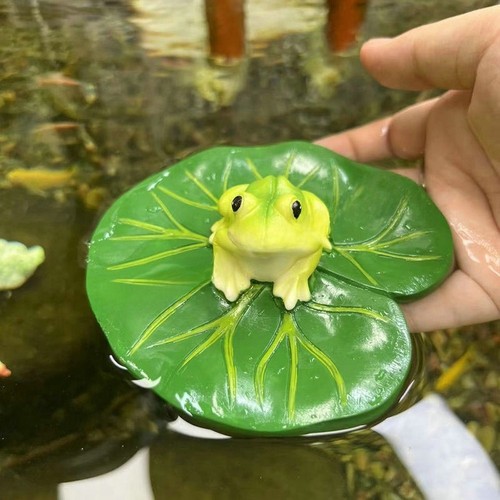 Floating water lily leaf with - lily,