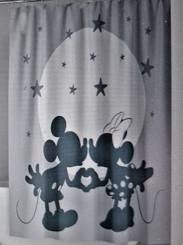 Mickey minnie mouse shower - mickey,