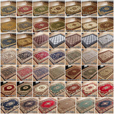 LARGE TRADITIONAL LIVING ROOM MEDALLION CLEARANCE BUDGET AREA NONSLIP  On Carpet