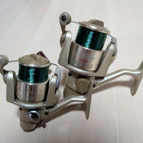 Daiwa whisker tournament - daiwa,