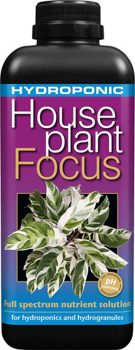 Hydroponic houseplant focus - hydroponic,