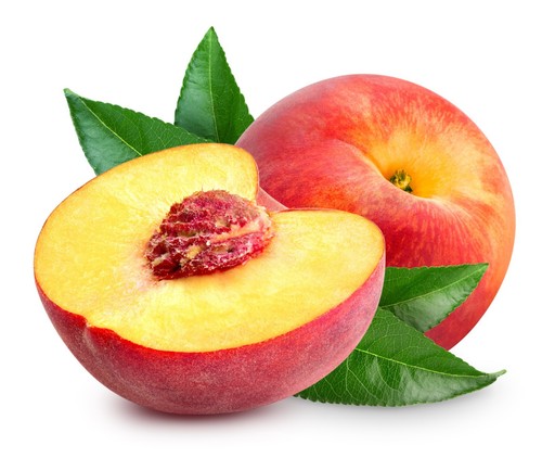 Peach trees pergerine 2 x - peach, trees,