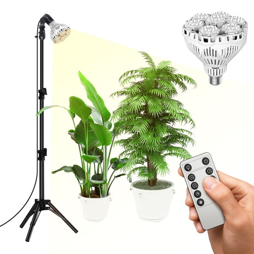 Sansi standing grow - sansi, for