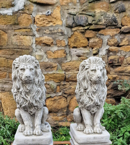 Large pair stone lion - stone, garden
