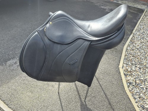 Monarch quality horse - quality, saddle