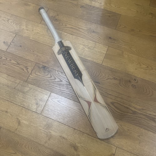 Newbery merlin player - merlin,