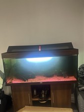 Juwel Rio 450 Aquarium &