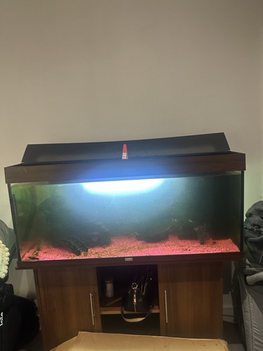 Juwel rio 450 aquarium - rio,