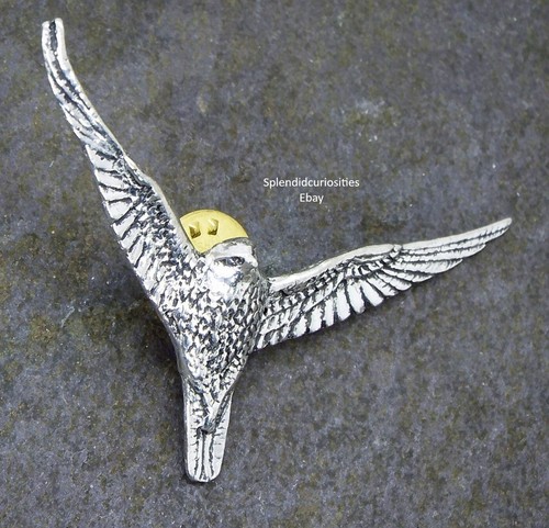 Soaring falcon bird - falcon, pin
