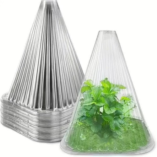 20x plant bell - plant,
